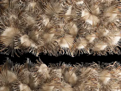 Wall decor made from dry branches of palm leaves 311 3D model