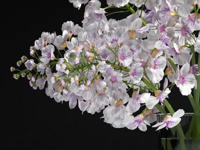 Flower Vase Set 3D model