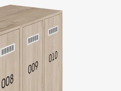 Laminated wood locker 3D model