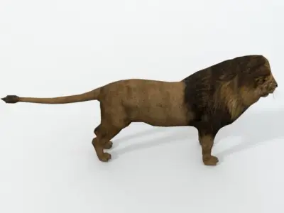 Lion Safari Low-poly 3D model