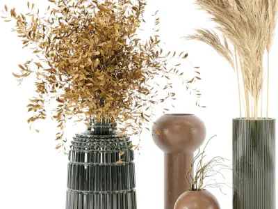 Dry plants 08 - Dried Plantset Pampas whit Glass vase  3D model