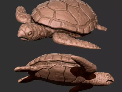 Turtle Low-poly 3D model