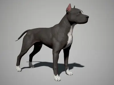 Guard Dog Pack Low-poly 3D model