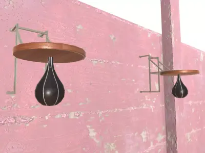 Punchball shelf with hook for sims 3D model