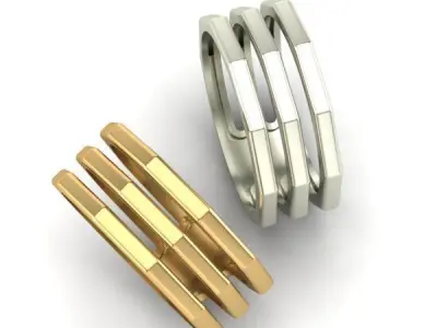 Triple Ring 3D print model