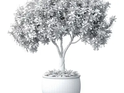 Decorative tree plant shrub Chinese vase pot flowerpot 3D model