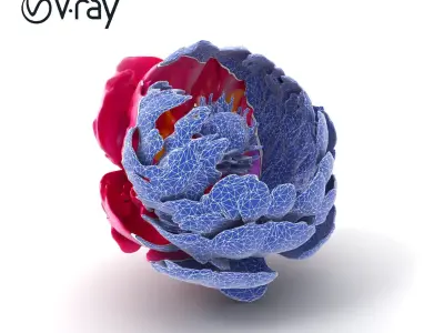 Exquisite 3D Peony Flower Model Pack Low-poly 3D model
