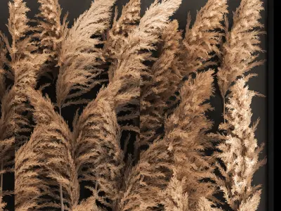 Decorating A Wall Of Dry Reeds For The Interior 258 3D model