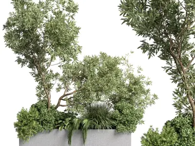 Collection indoor plant 234 - Concrete plants box standing 3D model