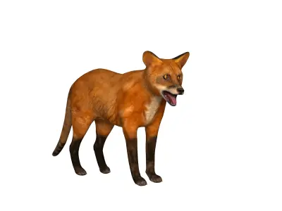 Red Fox Karaganda Low-poly 3D model