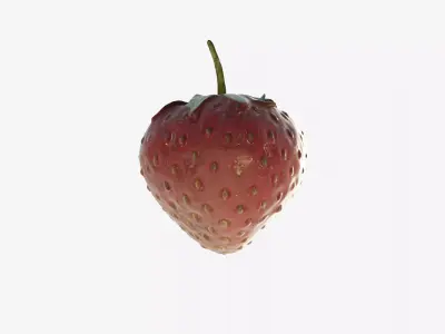 Scanned Strawberry Berry Low-poly 3D model buy