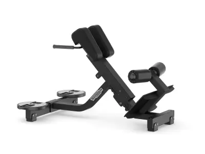 Technogym Pure Lower Back Bench  3D model