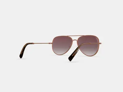 Raider Sunglasses in Rose Gold 3D model