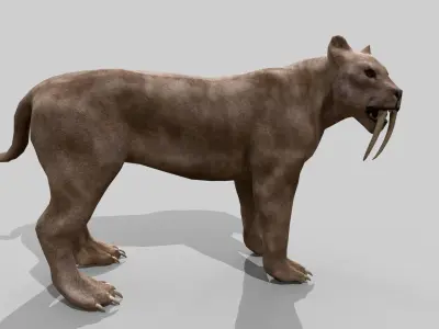 Sabertooth Low-poly 3D model
