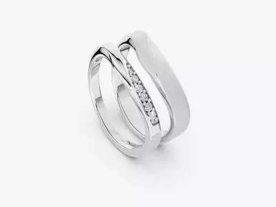 COUPLE RING-ZDR0193 3D print model
