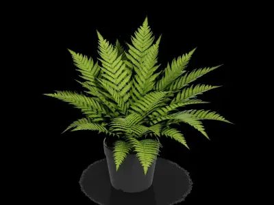 Home decorations Artificial Plant Low-poly 3D model