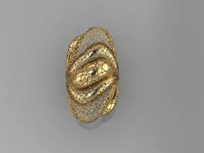 TORTURIAL RING 3D print model get
