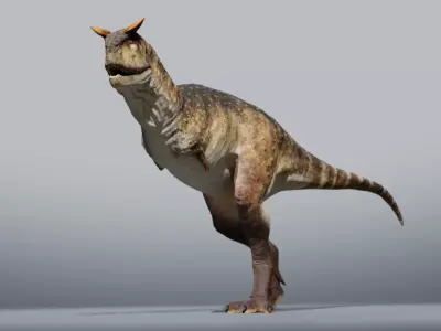 Carnotaurus Rig Low-poly 3D model