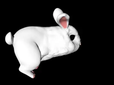 Snowball rabbit 3D model