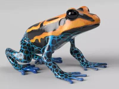 Poison Dart Frog 3D model
