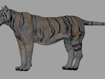 Tiger 3D model