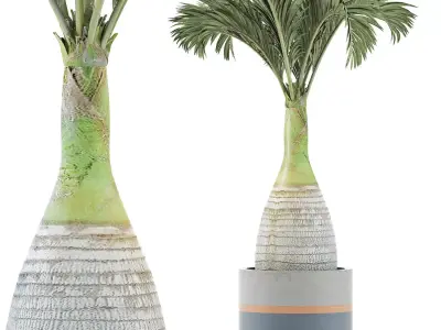 Plants Collection 131 Big Palm 3D model