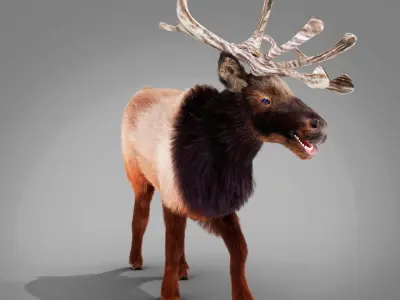 Fur Red Reindeer Rigged Blender  Low-poly 3D model