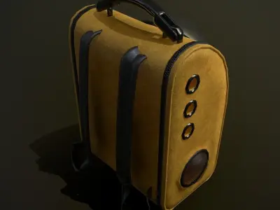 Astronaut Cat Carrier Low-poly 3D model