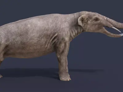 Platybelodon elephant Low-poly 3D model