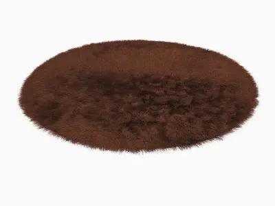 Carpet Snow H169-brown round 3D model