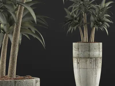 Plants Collection 94 3D model