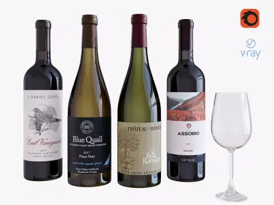 Wine bottle set 11 3D model