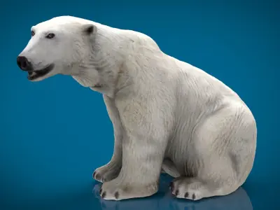 POLAR BEAR FEMALE  Low-poly 3D model