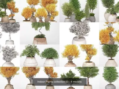 Indoor Plants collection 03