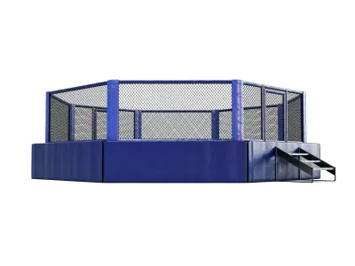 Mixed Martial Arts Octagon Arena 3D model