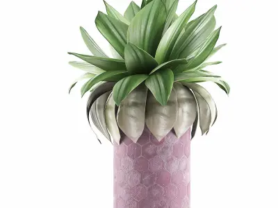 Plants Collection 101 3D model