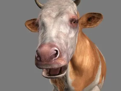 Top Cow - 3d model 3D model