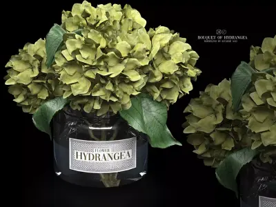 bouquet of hydrangea 3D model