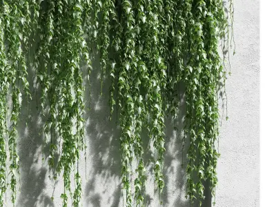 Ivy for the fence 3D model