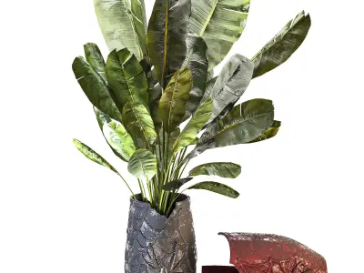Concrete Pot Plant Set 05 3D model