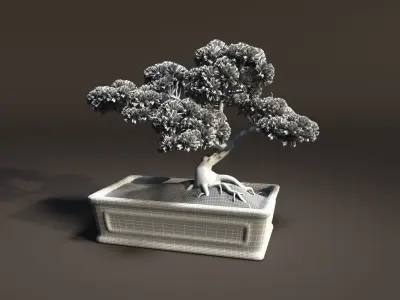 Bonsai tree in pot 3D model