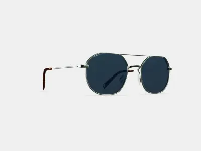Renaldo Sunglasses in Antique Silver 3D model