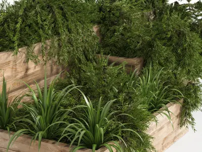 Outdoor Plants Tree in Plant Box Set0 3D model