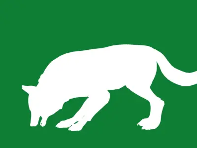 Alexander Archipelago Wolf Low-poly 3D model