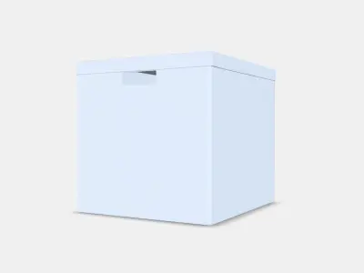 TJENA box with lid 1 3D model