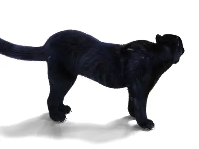 Realistic Fur Black panther Rigged Low-poly 3D model