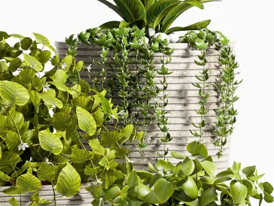 Decorative plant set-51 3D model