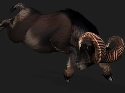 Goat-B2 3D model