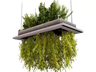 Modern Hanging Planter with Cascading Plants Low-poly 3D model