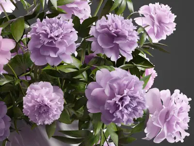 Bouquet lilac Peonies peony 3D model